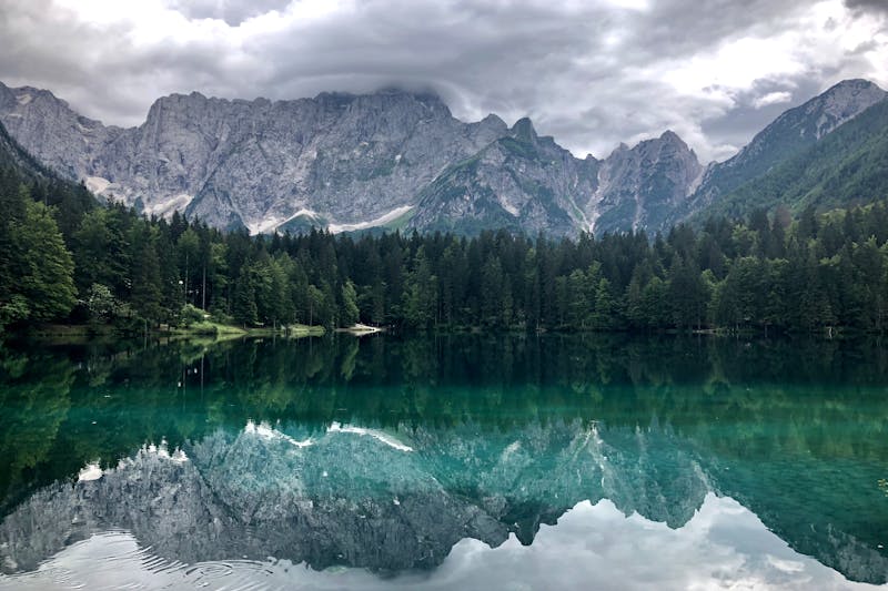 Гражданство италии по предкам